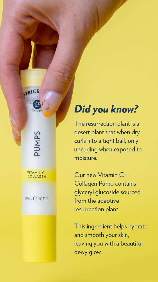 Vitamin C + Collagen Serum